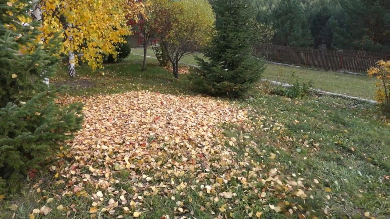 https://bryansk.mslandshaft.ru/storage/app/uploads/public/642/ac5/f22/642ac5f2293e2935715739.jpg